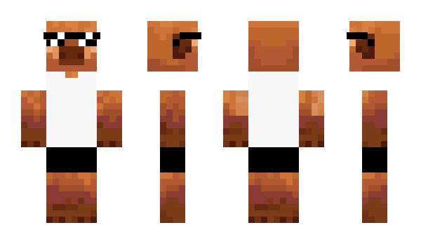 Minecraft skin OinkOinker