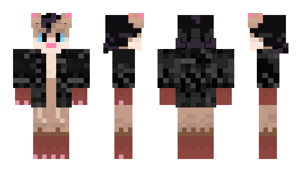 Minecraft skin anipalary