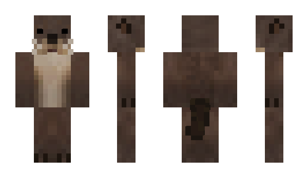 Minecraft skin Scwry