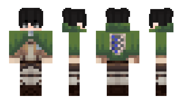 Minecraft skin brillerpaa