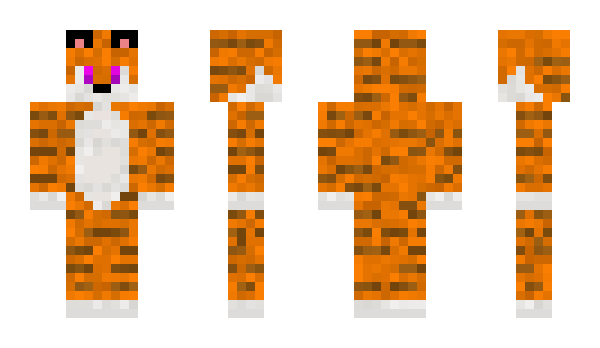 Minecraft skin McTiger25