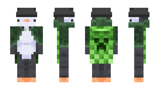 Minecraft skin BashMaistoraa