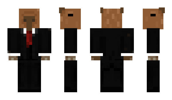 Minecraft skin CapybaraMine