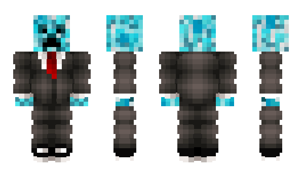 Minecraft skin human219