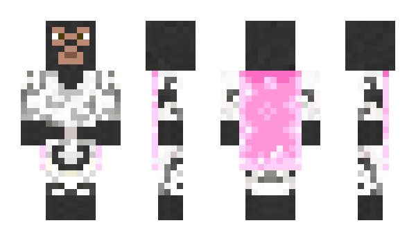 Minecraft skin R___