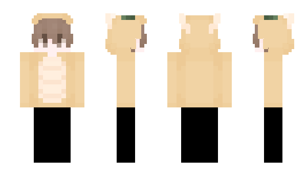 Minecraft скин по нику xXonix