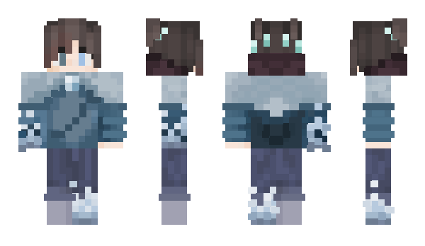 Minecraft skin VDsNPC