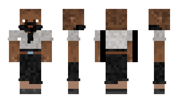 Minecraft skin MEDCT