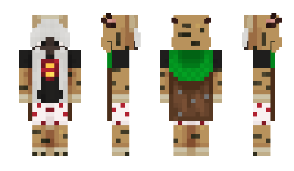 Minecraft skin whhiskas