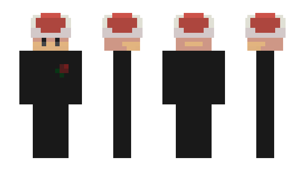 Minecraft скін по ніку Verbindung