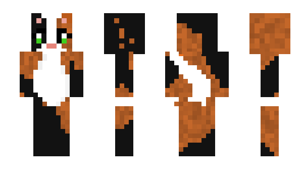 Minecraft skin boat_coat