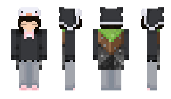 Minecraft skin penguued