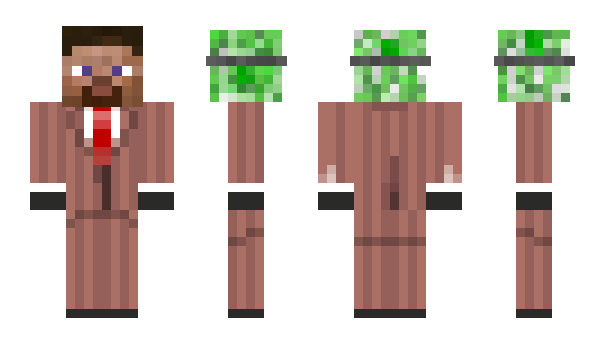 Minecraft skin Painu