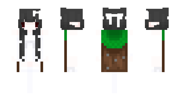 Minecraft skin pndrcgons