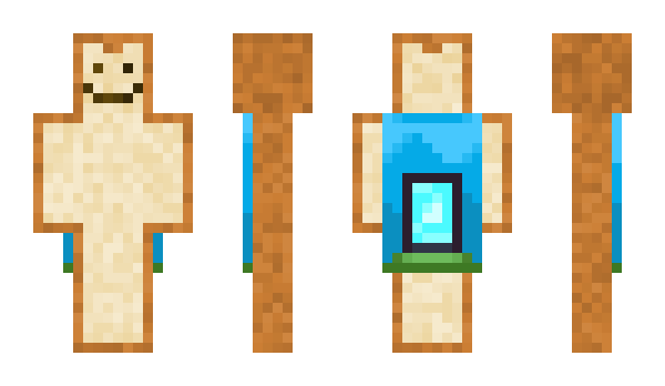 Minecraft skin Wedoo1234