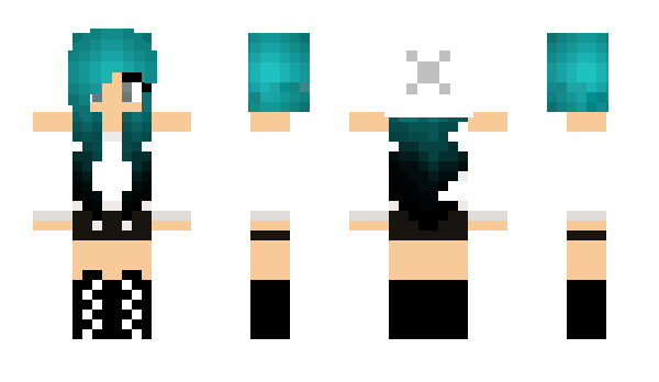 Minecraft skin qsh