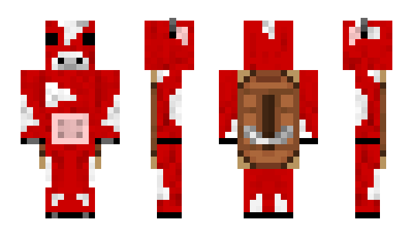 Minecraft skin ColdNotHot
