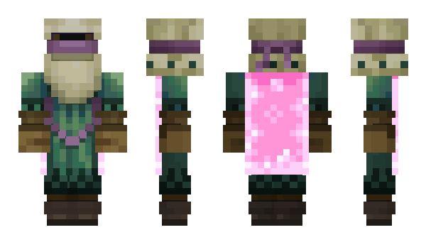 Minecraft skin pignacy