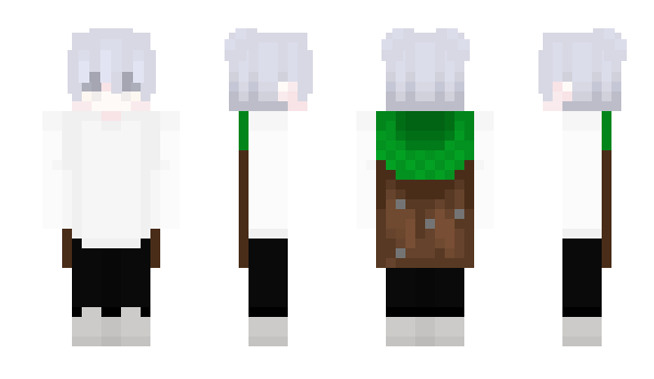 Minecraft skin metodyna