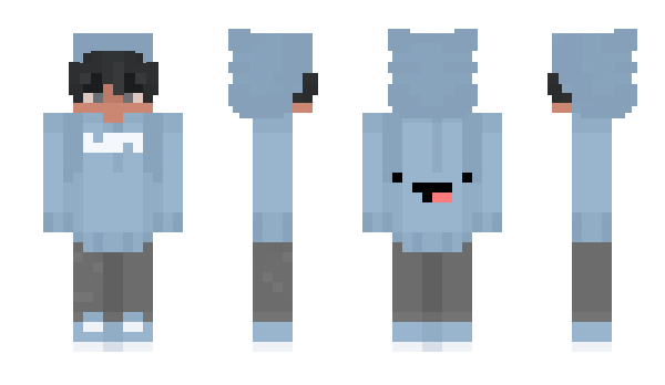 Minecraft skin Avelvox