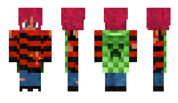 Minecraft skin aaush