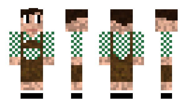 Minecraft skin norml