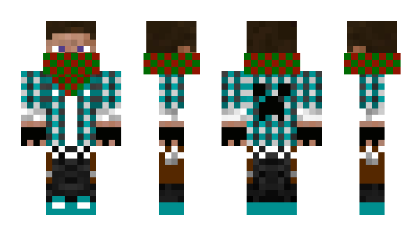 Minecraft skin SoTn