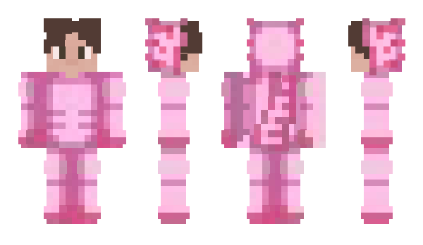 Minecraft skin Vixelized