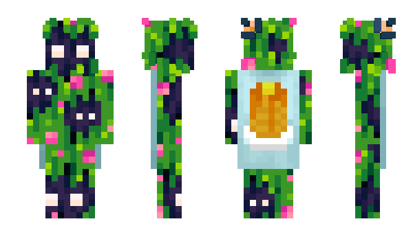 Minecraft skin Soil0k