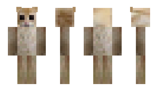 Minecraft skin WisCate