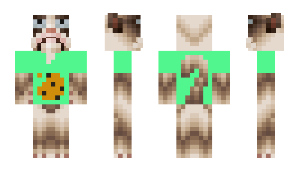 Minecraft skin catypo