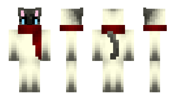 Minecraft skin Wdawdy