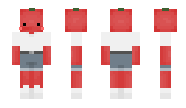 Minecraft skin roubz