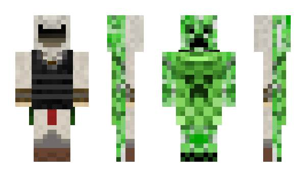 Minecraft skin D20