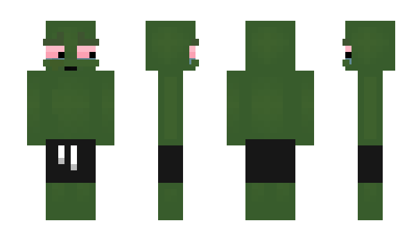 Minecraft skin Plantar