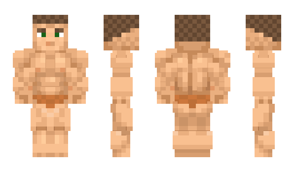 Minecraft skin Descente