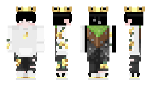 Minecraft skin Chosen