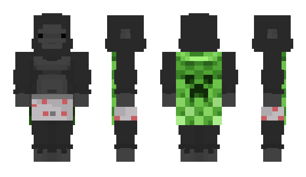 Minecraft skin Vacam