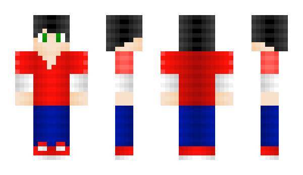 Minecraft skin wasko