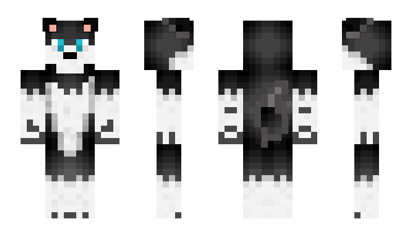 Minecraft skin SebiJ