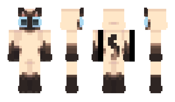 Minecraft skin saralli