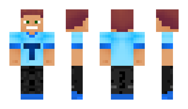 Minecraft skin tomikad