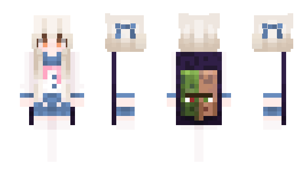 Minecraft skin DTO