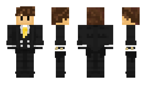 Minecraft skin ENDERPNG