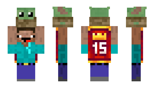 Minecraft skin Fille14