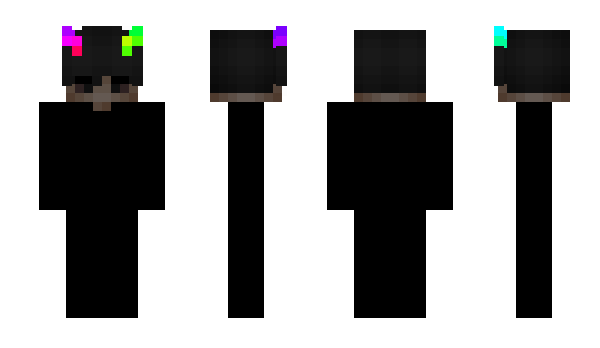 Minecraft skin WildPL