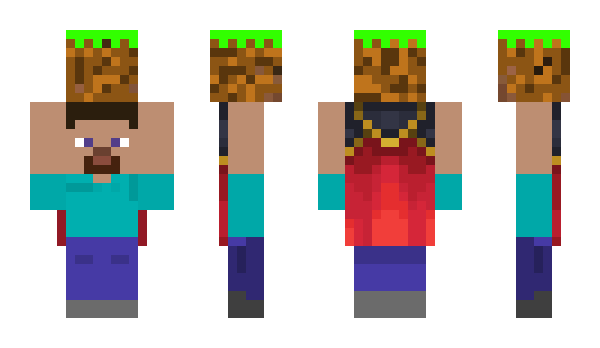 Minecraft skin ERBEE