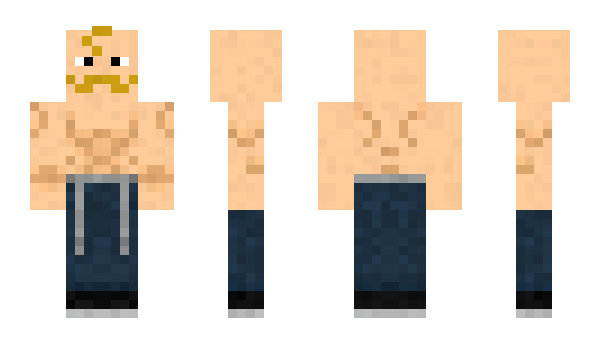 Minecraft skin Renidar