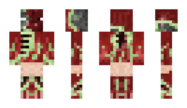 Minecraft skin Zipcord24