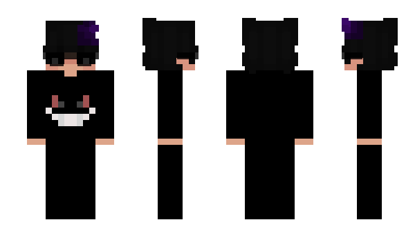 Minecraft skin SM400
